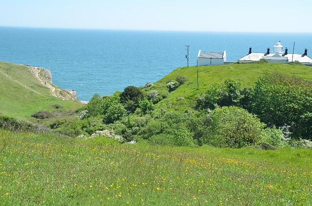 26 05 12_1293.JPG - DURLSTON HEAD, DORSET - 26.5.12
